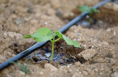 instalación riego por goteo (380 x 250 px)